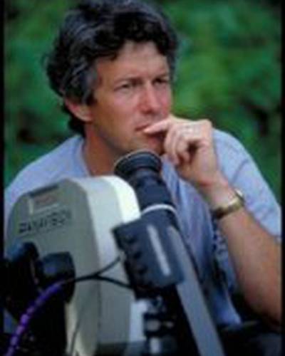 Митч Дэвис фото