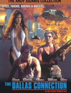 Проект Даллас