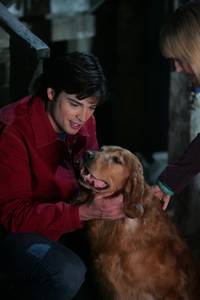 Кадр Тайны Смолвиля