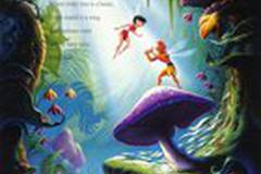 Долина папоротников: Последний тропический лес