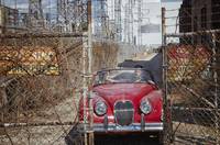 Кадр Хемлок Гроув