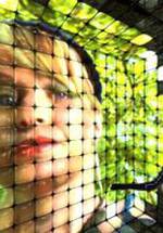 Wendy Shapero фото