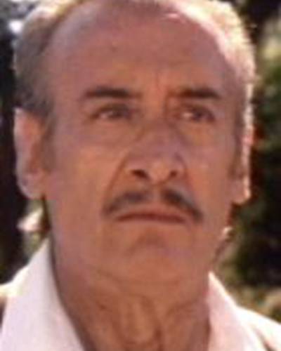 Данте Д’Андре фото