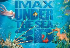 IMAX-погружение в подводный мир