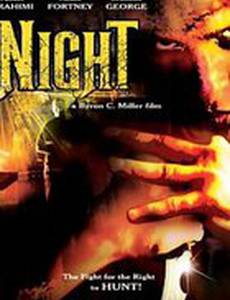 Ночь (видео)