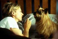 Кадр Счастливая пропажа