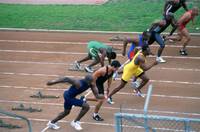 Кадр Луковые новости