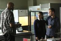 Кадр Агенты «Щ.И.Т.»