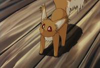 Кадр Виндария