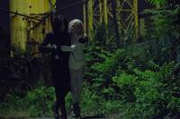 Кадр Выживут только любовники