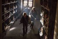 Кадр Повитуха