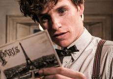 «Фантастические звери 2»: новые кадры