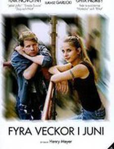 Четыре недели в июне