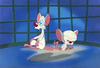 Кадр Пинки и Брейн