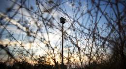 Кадр из фильма "Украинские шерифы" - 1