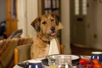 Кадр Всё могу (Всё как ты захочешь)