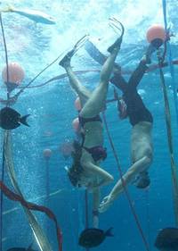 Кадр Голубая бездна