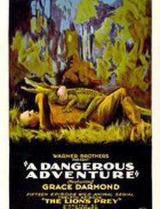 A Dangerous Adventure