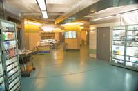 Кадр Голодные игры: Сойка-пересмешница. Часть I