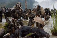 Кадр Следопыт