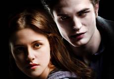 Постановщица «Сумерек» снимет эротический триллер