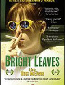 Яркие листья