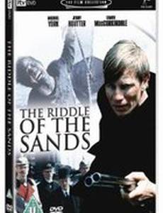 Загадки песков