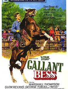 Gallant Bess