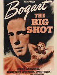 Важная шишка