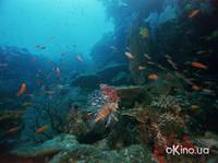 Кадр Планета Земля