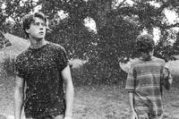 Кадр Как я теперь люблю