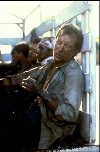 Кадр Сальвадор