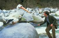 Кадр Джуманджи