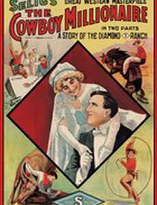 The Cowboy Millionaire