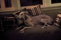 Кадр Жизнь прекрасна