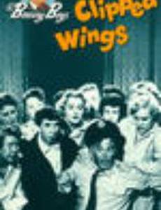 Clipped Wings