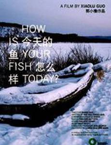 Как улов сегодня?