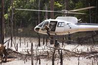 Кадр 600 кг золота