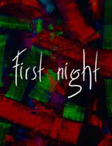 Первая ночь