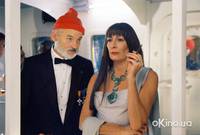 Кадр Водная жизнь