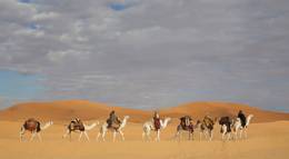 Кадр из фильма "Королева пустыни" - 1