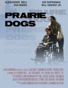 Степные собачки