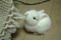 Кадр Последний пропущенный звонок