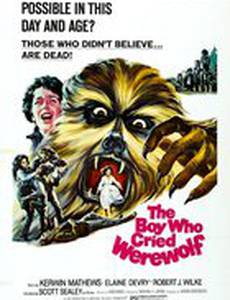 Мальчик, который рассказывал об оборотне