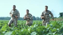 Кадр из фильма "О, где же ты, брат?" - 1