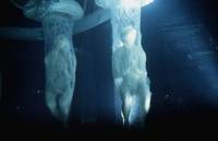 Кадр Шестой день