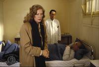 Кадр Розовый сад