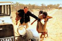 Кадр Клетка для кроликов