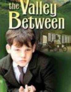 В долине (мини-сериал)