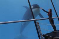 Кадр Ржавчина и кость